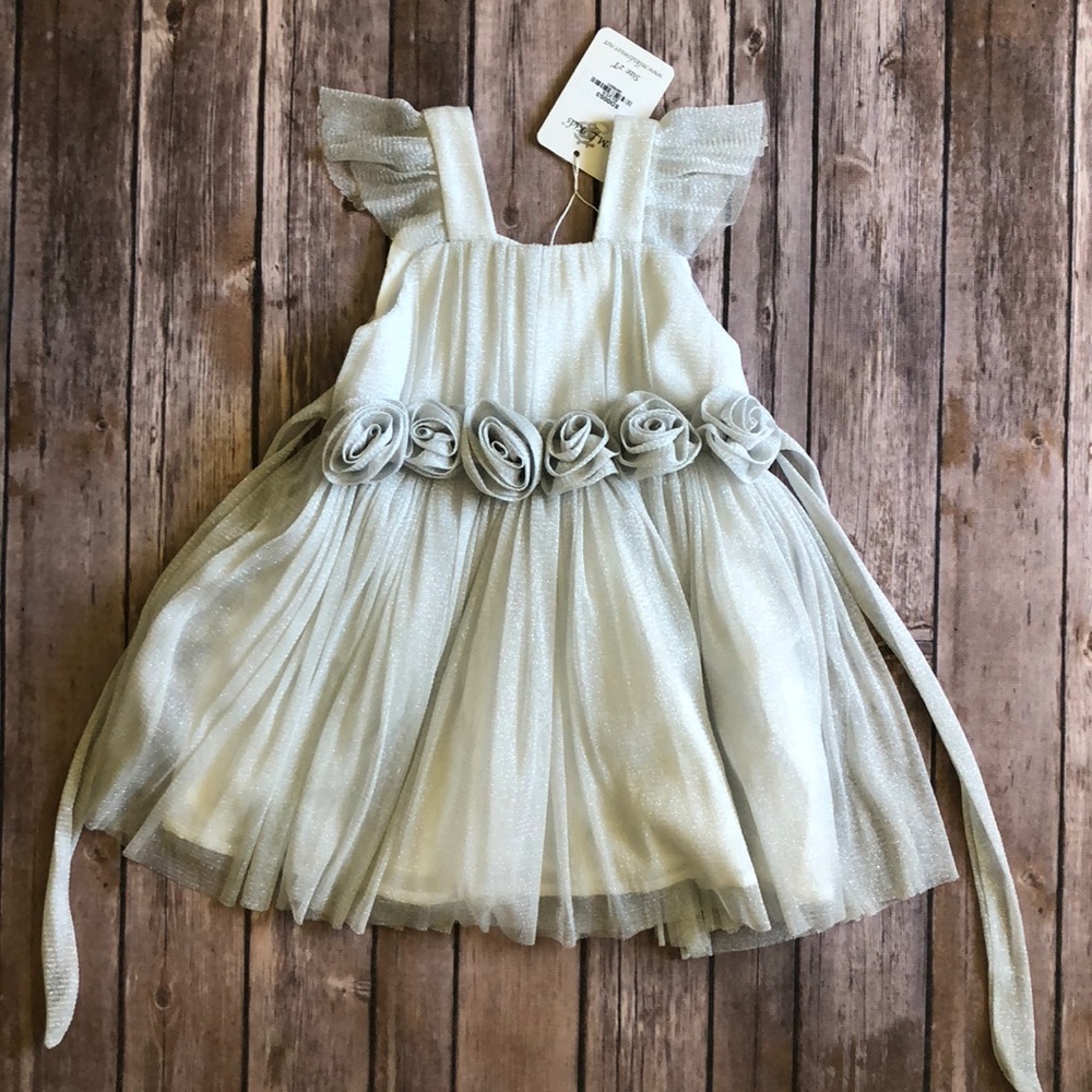 BRAND NEW Toddler Silver Glittery Dress